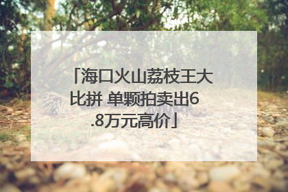 海口火山荔枝王大比拼 单颗拍卖出6.8万元高价
