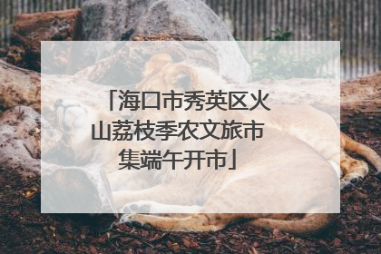 海口市秀英区火山荔枝季农文旅市集端午开市
