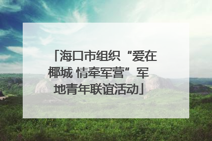 海口市组织“爱在椰城 情牵军营”军地青年联谊活动