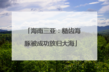 海南三亚：糙齿海豚被成功放归大海