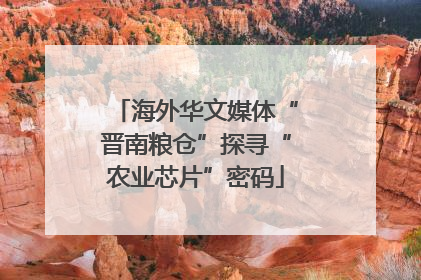 海外华文媒体“晋南粮仓”探寻“农业芯片”密码