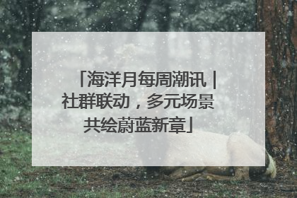海洋月每周潮讯｜社群联动，多元场景共绘蔚蓝新章