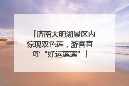 济南大明湖景区内惊现双色莲，游客直呼“好运莲莲”