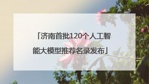 济南首批120个人工智能大模型推荐名录发布