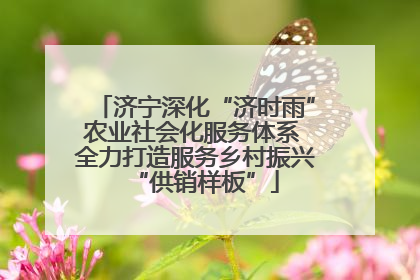 济宁深化“济时雨”农业社会化服务体系 全力打造服务乡村振兴“供销样板”