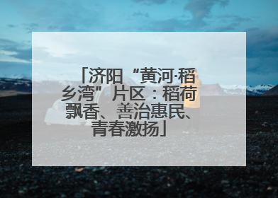 济阳“黄河·稻乡湾”片区：稻荷飘香、善治惠民、青春激扬