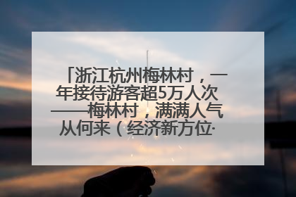 浙江杭州梅林村，一年接待游客超5万人次——梅林村，满满人气从何来（经济新方位·农村消费观察）