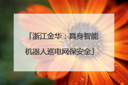 浙江金华：具身智能机器人巡电网保安全