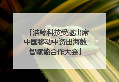 浩鲸科技受邀出席中国移动中资出海数智赋能合作大会