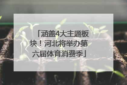 涵盖4大主题板块！河北将举办第六届体育消费季