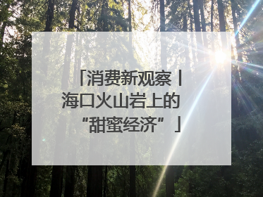 消费新观察丨海口火山岩上的“甜蜜经济”