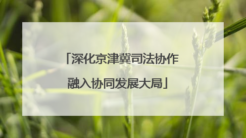 深化京津冀司法协作 融入协同发展大局