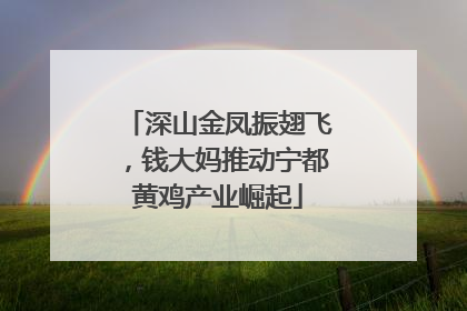 深山金凤振翅飞，钱大妈推动宁都黄鸡产业崛起
