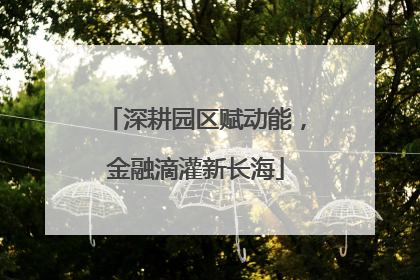 深耕园区赋动能，金融滴灌新长海