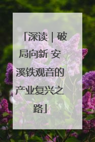 深读｜破局向新 安溪铁观音的产业复兴之路