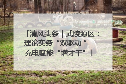 清风头条｜武陵源区：理论实务“双驱动 ” 充电赋能“增才干”