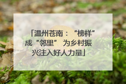 温州苍南：“榜样”成“邻里” 为乡村振兴注入好人力量