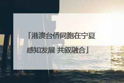 港澳台侨同胞在宁夏感知发展 共叙融合
