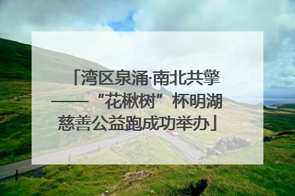 湾区泉涌·南北共擎——“花楸树”杯明湖慈善公益跑成功举办