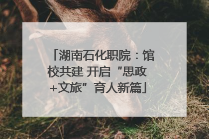 湖南石化职院：馆校共建 开启“思政+文旅”育人新篇