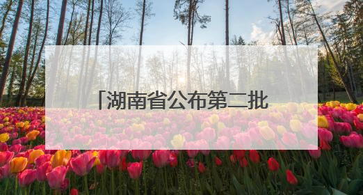 湖南省公布第二批省级大学生创业孵化基地，支持留湘来湘大学生创新创业