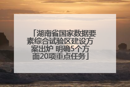 湖南省国家数据要素综合试验区建设方案出炉 明确5个方面20项重点任务