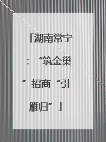 湖南常宁：“筑金巢”招商“引雁归”