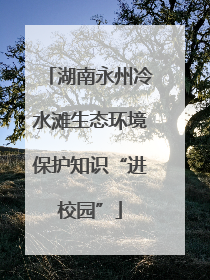 湖南永州冷水滩生态环境保护知识“进校园”