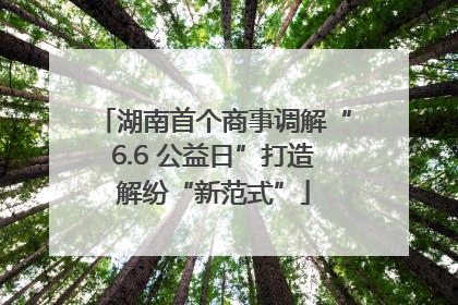 湖南首个商事调解“6.6 公益日”打造解纷“新范式”