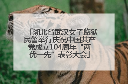 湖北省武汉女子监狱民警举行庆祝中国共产党成立104周年“两优一先”表彰大会