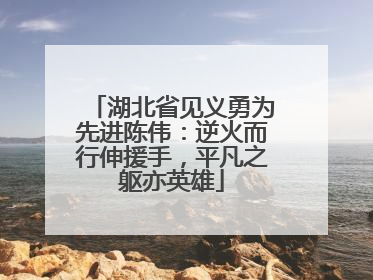 湖北省见义勇为先进陈伟：逆火而行伸援手，平凡之躯亦英雄