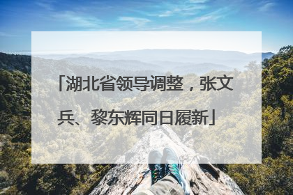 湖北省领导调整，张文兵、黎东辉同日履新