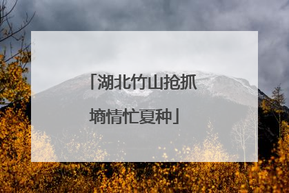 湖北竹山抢抓墒情忙夏种