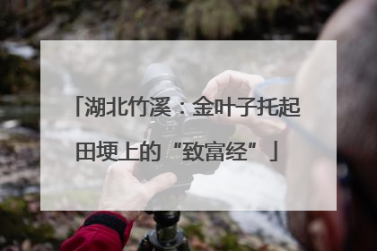 湖北竹溪：金叶子托起田埂上的“致富经”