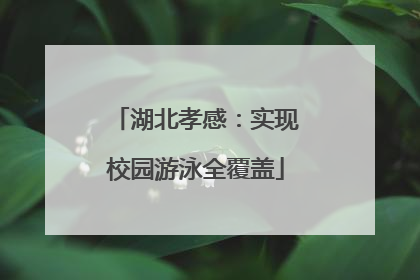 湖北孝感：实现校园游泳全覆盖
