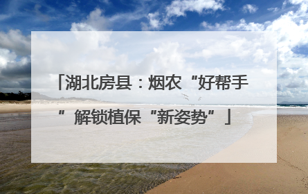 湖北房县：烟农“好帮手”解锁植保“新姿势”