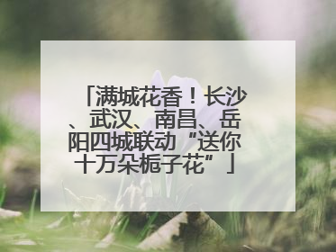 满城花香！长沙、武汉、南昌、岳阳四城联动“送你十万朵栀子花”