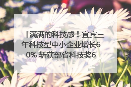 满满的科技感！宜宾三年科技型中小企业增长60% 斩获部省科技奖6项｜您牵挂的四川