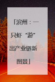 滨州：一只虾“游”出产业链新图景