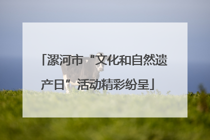 漯河市“文化和自然遗产日”活动精彩纷呈