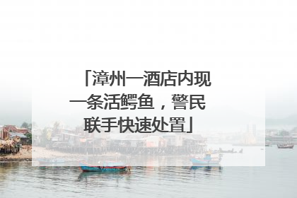 漳州一酒店内现一条活鳄鱼，警民联手快速处置