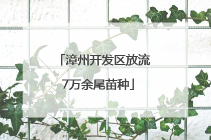 漳州开发区放流7万余尾苗种