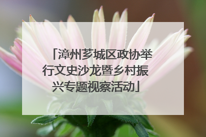 漳州芗城区政协举行文史沙龙暨乡村振兴专题视察活动