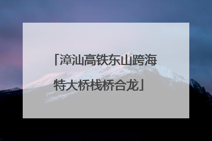 漳汕高铁东山跨海特大桥栈桥合龙