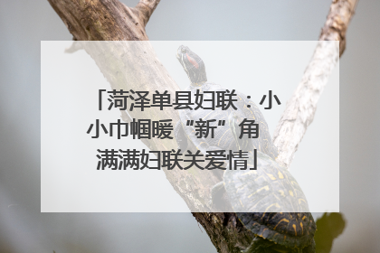 菏泽单县妇联：小小巾帼暖“新”角 满满妇联关爱情