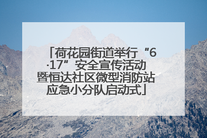 荷花园街道举行“6·17”安全宣传活动暨恒达社区微型消防站应急小分队启动式