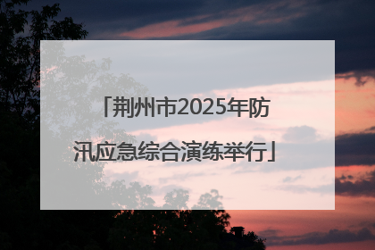 荆州市2025年防汛应急综合演练举行