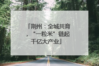 荆州：全城共育，“一粒米”链起千亿大产业