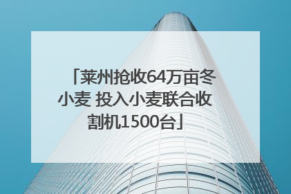 莱州抢收64万亩冬小麦 投入小麦联合收割机1500台