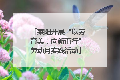 莱阳开展“以劳育美，向新而行”劳动月实践活动